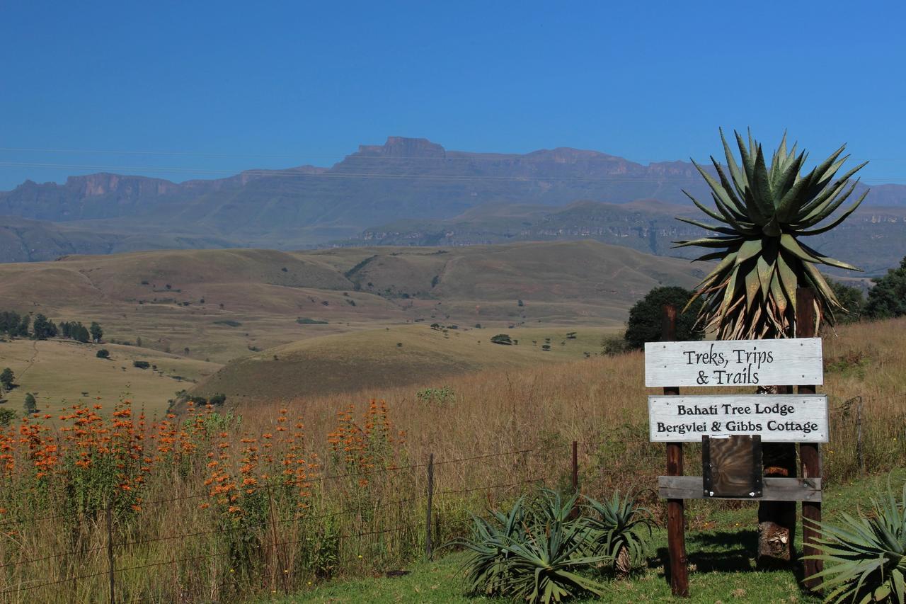 Treks, Trips And Trails Villa Champagne Valley Luaran gambar