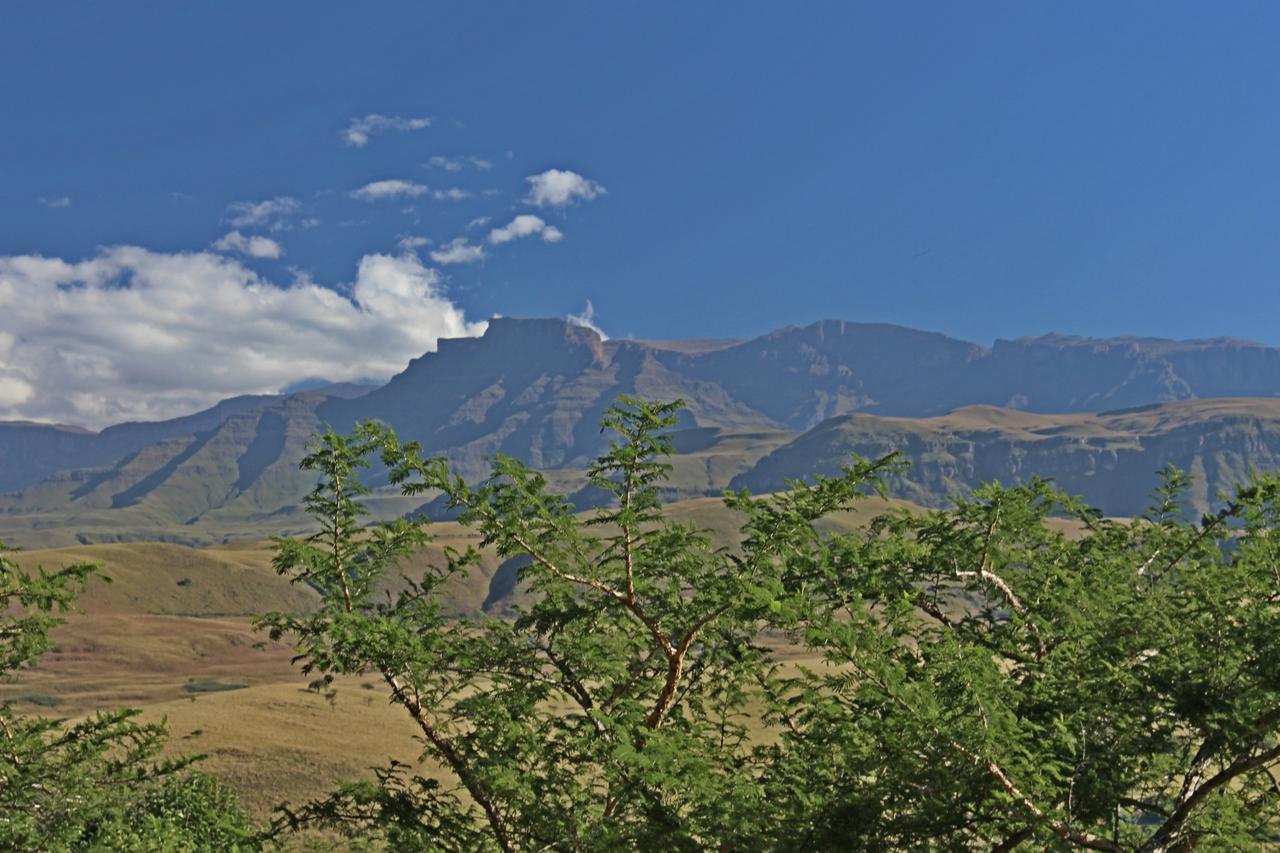 Treks, Trips And Trails Villa Champagne Valley Luaran gambar